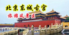 羞羞答答电影9.1爱爱中国北京-东城古宫旅游风景区
